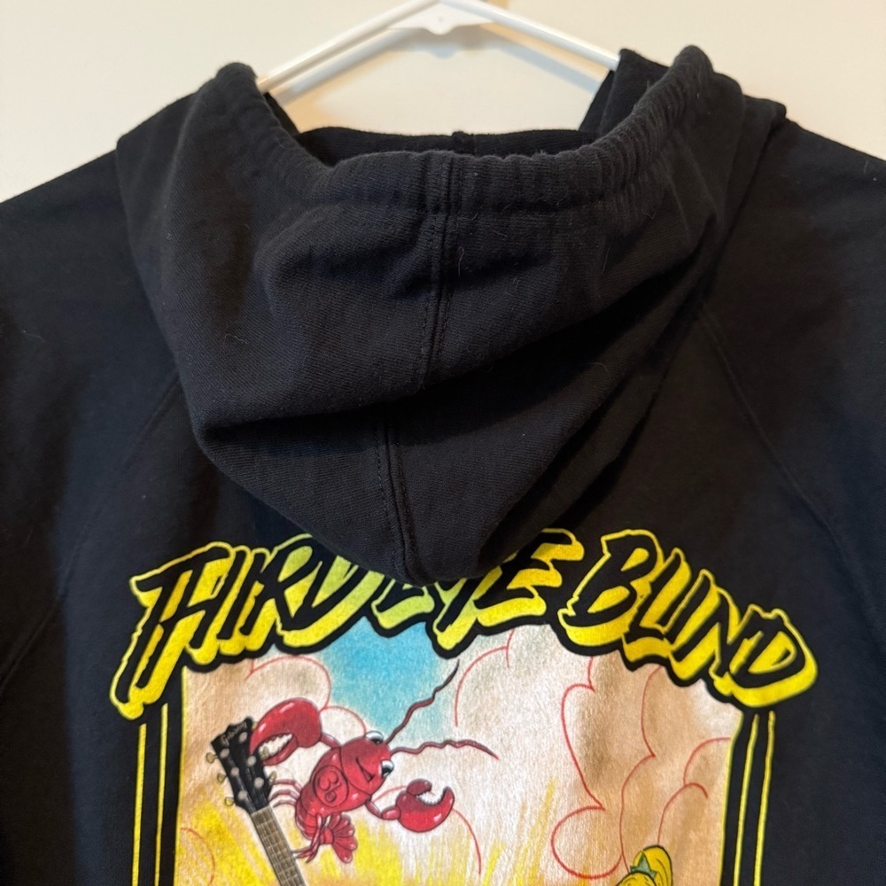 Third Eye Blind Summer Gods Tour 2024 Festival Womenโs Cozy Souvenir Hoodie - Picture 7 of 10